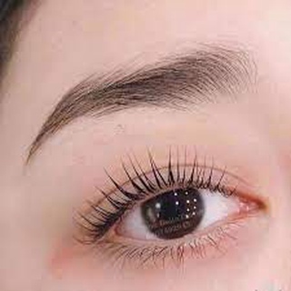 Liên kết tạo độ bền mi ( primer ).