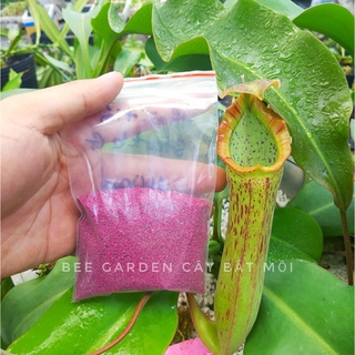 Thuốc tím diệt rệp starkle G (túi 100g)