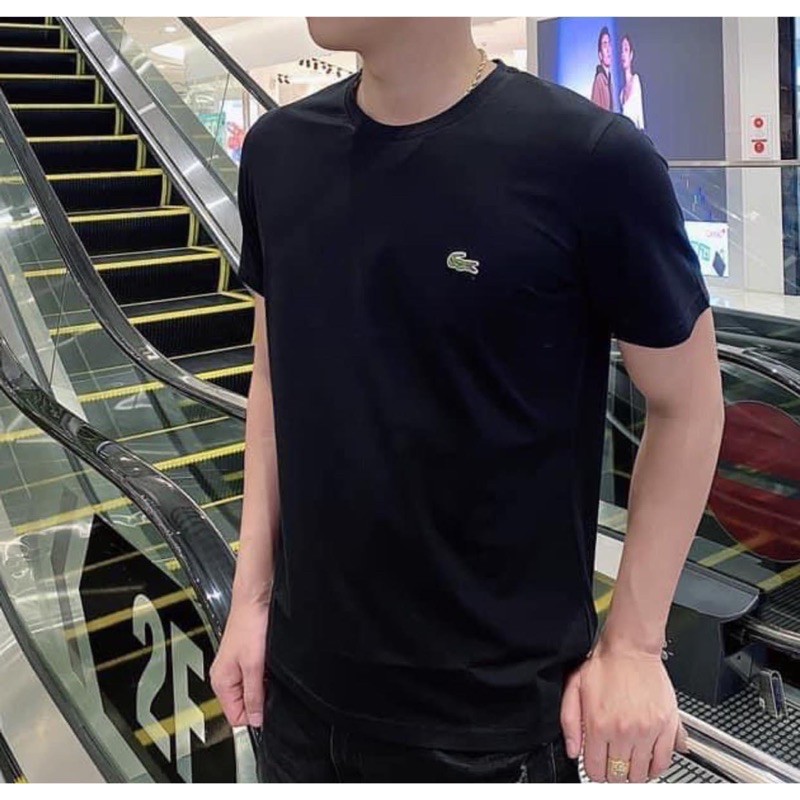 Áo thun nam cá sấu | BigBuy360 - bigbuy360.vn