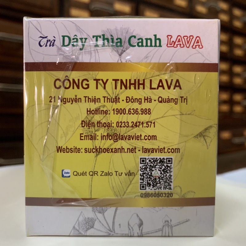 Trà Dây Thìa Canh Lava -  đường trong máu cao, tiểu đường