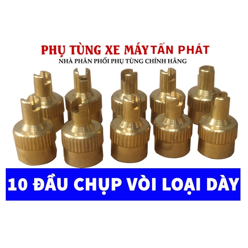 10 Cái Nắp Chụp Vặn Vòi Van Loại Dày Xe Máy Xe Đạp Xe Hơi Ô Tô