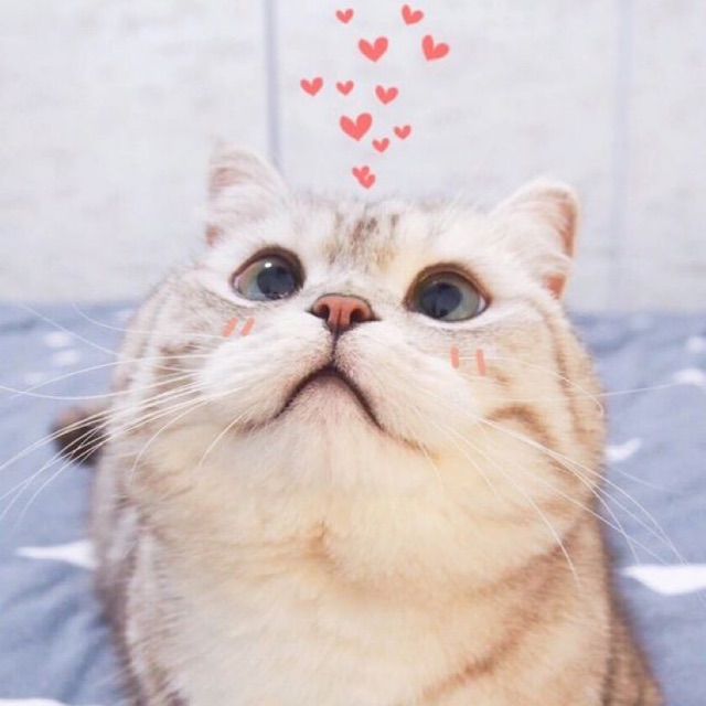 cheocnjang