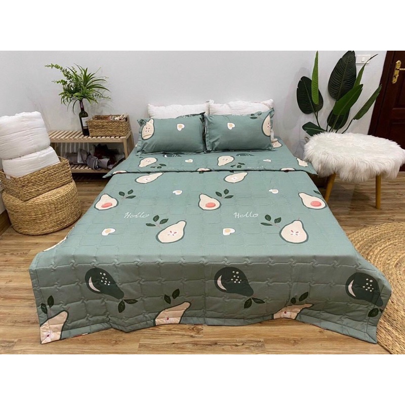 Bộ Chăn Ga Gối Chăn HÈ 5 Món Coton Poly- Đủ Kích Thước : 1m6/1m8/2m2