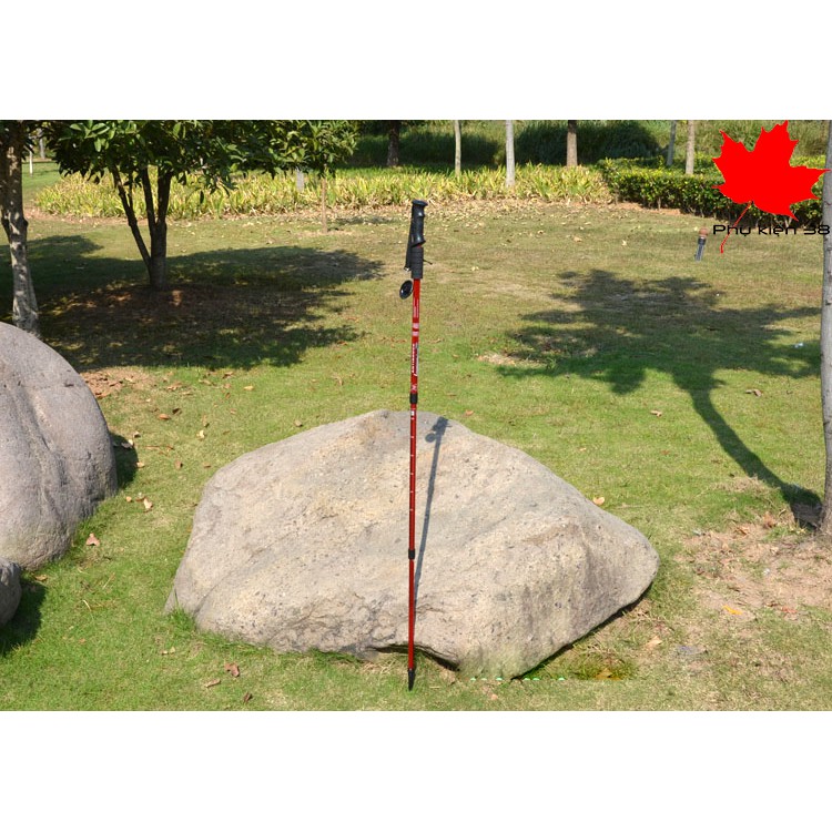 Gậy leo núi hợp kim nhôm hàng không Trekking Đi Rừng, Dã Ngoại, Đi Phượt