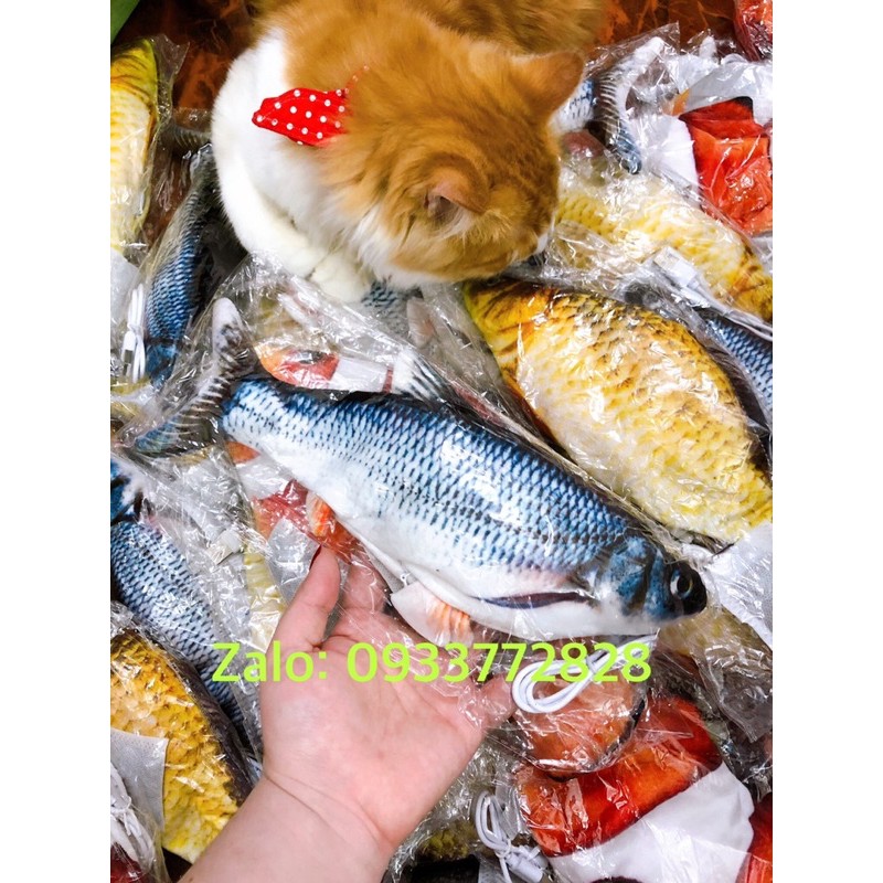 Đồ chơi bé mèo