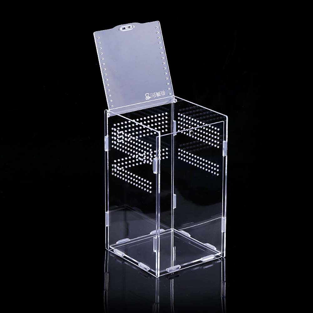 Bể Nuôi Bò Sát Côn Trùng Bằng Acrylic Trong Suốt Thoáng Khí