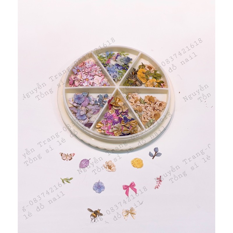 Set hoa bướm ẩn nail