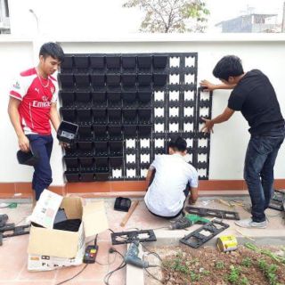 Module vườn tường thẳng đứng giá rẻ