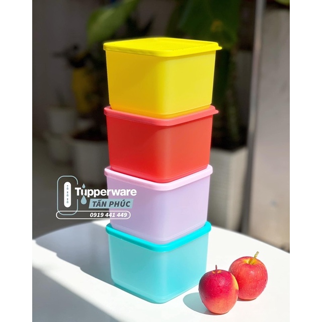 Tupperware - Bộ 4 hộp bảo quản thực phẩm Medium Summer Fresh (đủ 4 màu như hình)