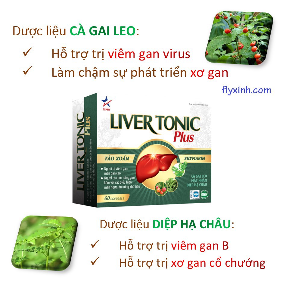 LIVERTONIC PLUS - SẢN PHẨM GIÚP THANH NHIỆT, GIẢI ĐỘC GAN, HẠ MEN GAN, GIẢM NGỨA