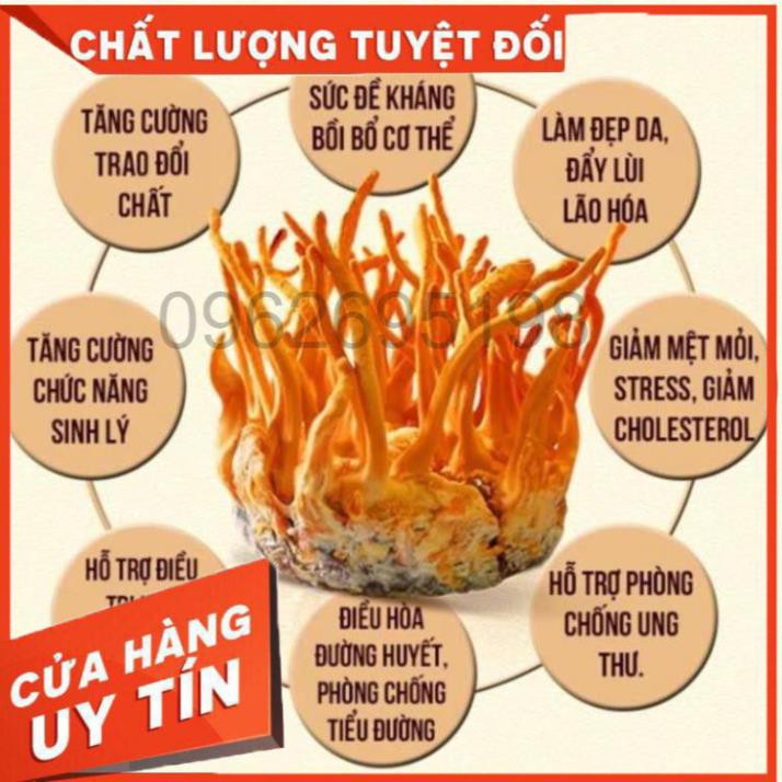 GIÁ TỐT: 2 hộp x 45g/ hộp Hoa Đông Trùng Hạ Thảo Hàn Quốc Dạng Khô cao cấp