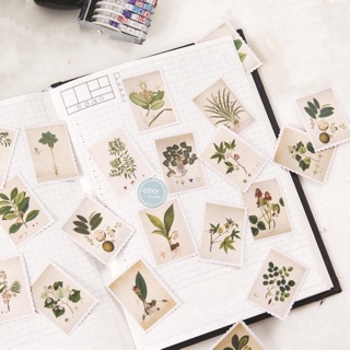10 Stickers Cây Cỏ dạng tem