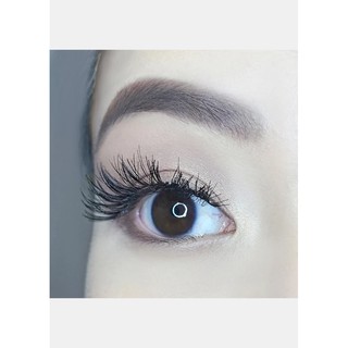 Set lông mi giả từ tóc thật 100% AOA Studio Eyelashes - Alexis 6-Pack