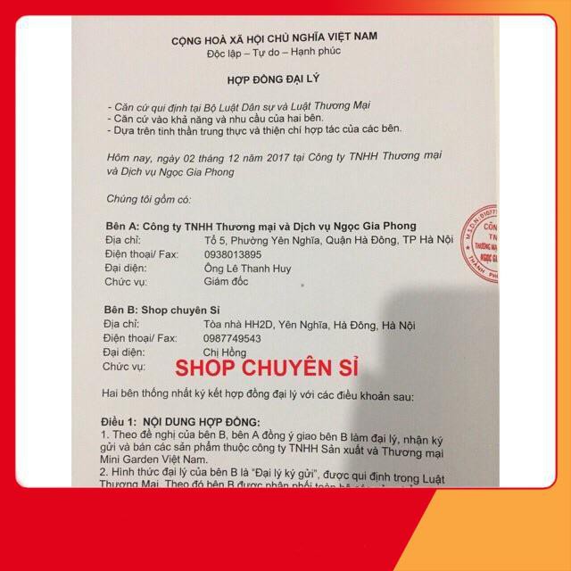 Son rose phiên bản 2019 | BigBuy360 - bigbuy360.vn