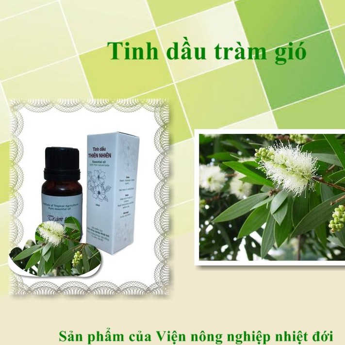 Tinh dầu tràm gió IAT