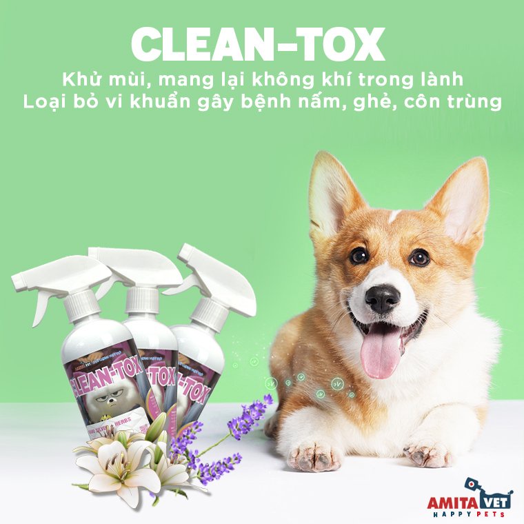 Xịt khử mùi hôi chó mèo Clean Tox diệt khuẩn môi trường chai 500ml từ AMITAVET giúp thú cưng khỏe mạnh