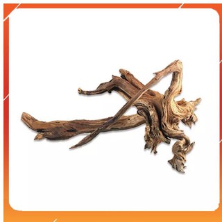 Lũa thô trang trí cho bể cá cảnh