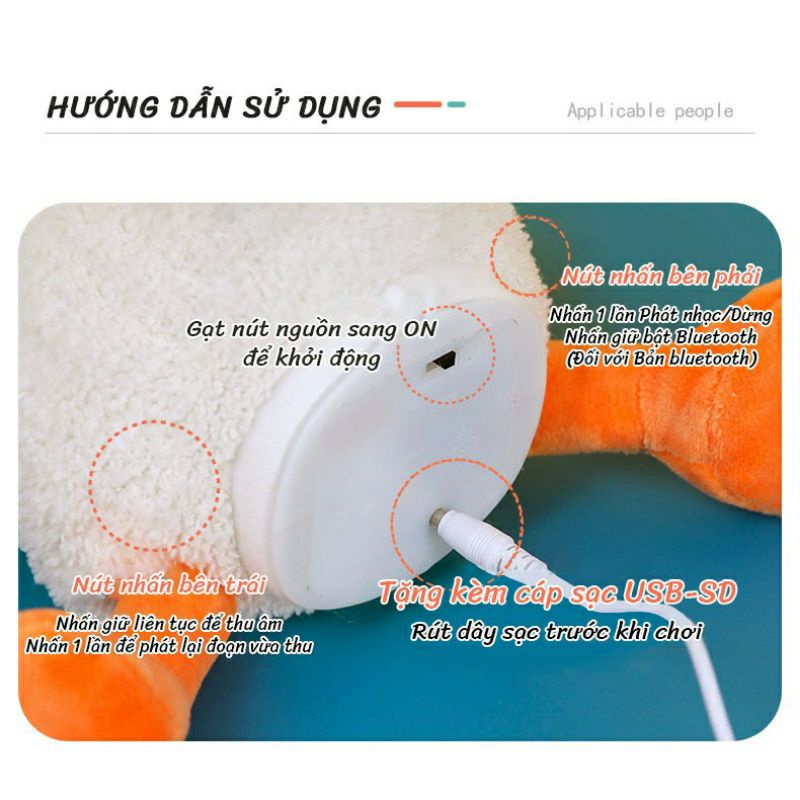 Vịt Biết Nói, Biết Hát, Nhại Tiếng, nhún nhảy, cà khịa, Phát Nhạc TIÊN TIÊN STORE