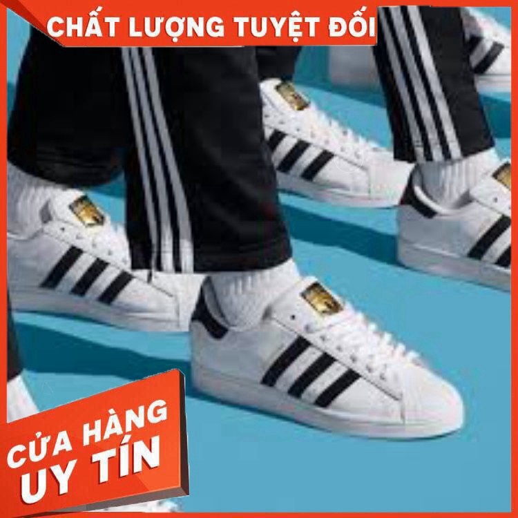 [FULL BOX] Giày Thể Thao Adidas Nam Nữ Vỏ Sò | BigBuy360 - bigbuy360.vn