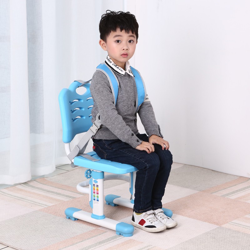 Ghế chống gù Royal D8 | BigBuy360 - bigbuy360.vn