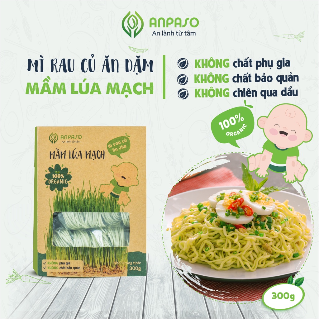 Mì Ăn Dặm cho bé rau củ hữu cơ Anpaso, mỳ rau organic, kiểu Nhật, BLW, bổ sung chất xơ, cải thiện táo bón 300g | BigBuy360 - bigbuy360.vn