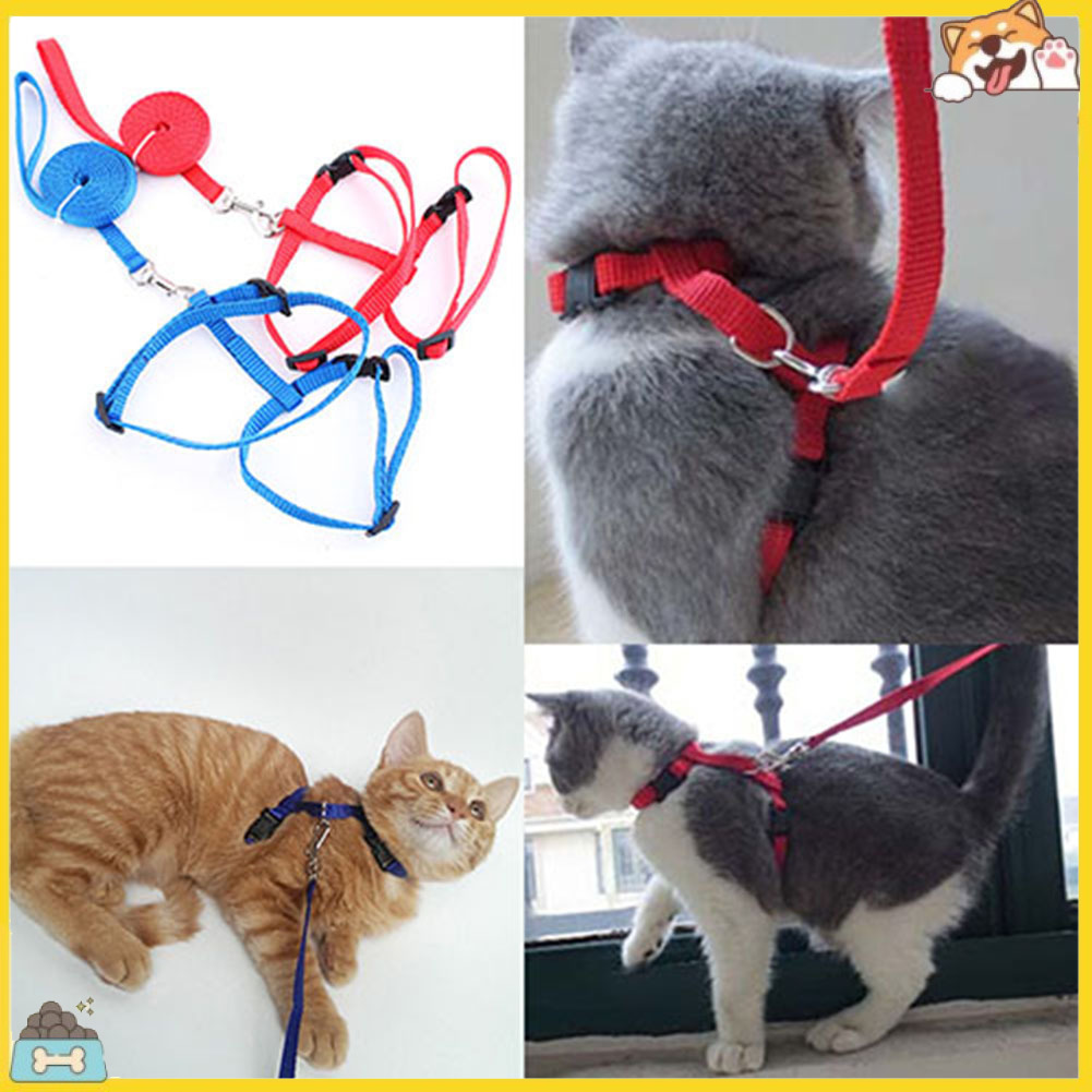 Dây đai dắt mèo cưng đi dạo an toàn