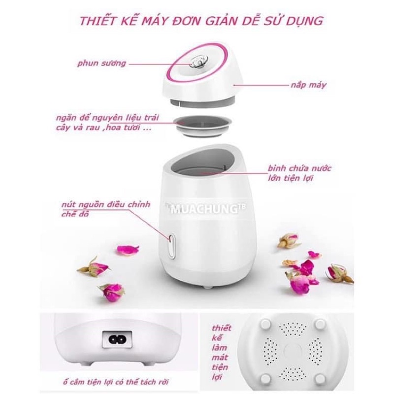Máy xông hơi da mặt - dùng thảo dược , hoa quả , tinh dầu - Gia Dụng gia đình