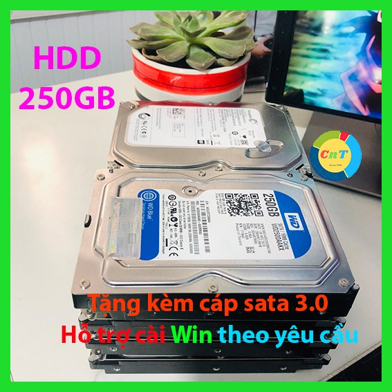 Ổ cứng HDD PC 3,5&quot; 250GB, Western , Seagate-Tặng cáp Sata 3.0-Hàng nhập khẩu tháo máy đồng bộ - BH 1 tháng