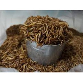 Sâu khô cho hamster 100g
