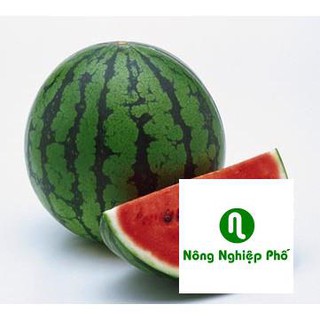 Gói 20 hạt giống dưa hấu ruột đỏ PHUNONG
