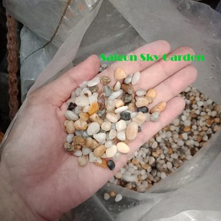 Sỏi size Trung nhiều màu để trang trí