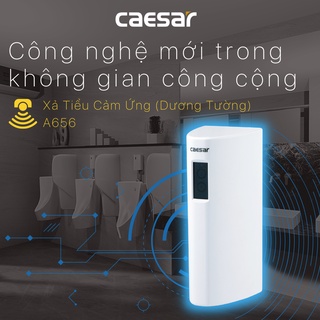 Xả Tiểu Cảm Ứng - A656