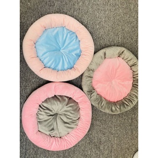 NỆM CHO CHÓ MÈO THÚ CƯNG