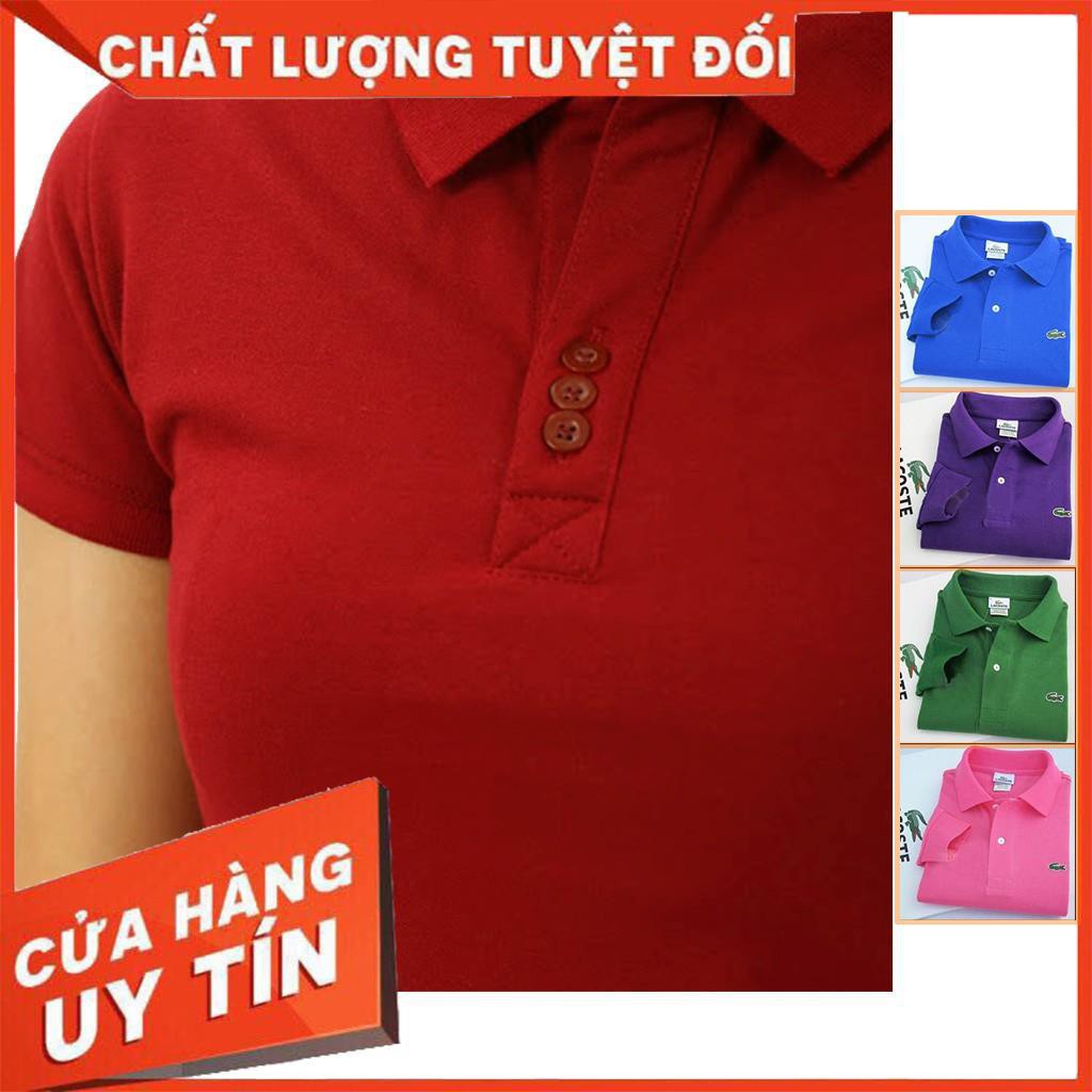 Áo thun nữ polo 100% Coton co giãn 4 chiều Hàng Cao cấp Nhiều màu Nhiều mẫu | BigBuy360 - bigbuy360.vn