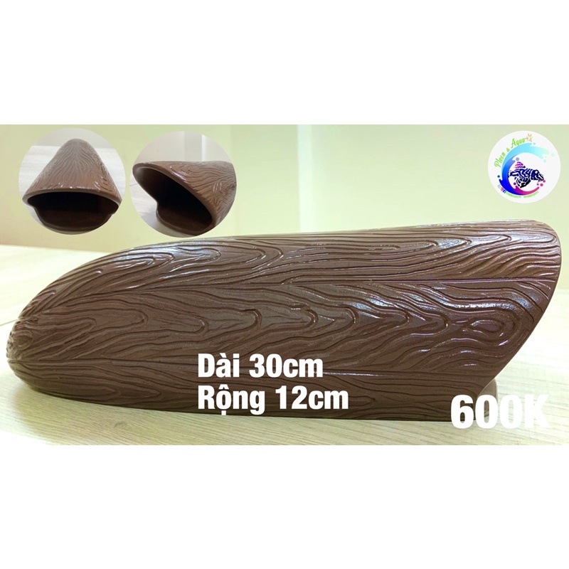 Hang Pleco “HANG SINH SẢN CÁ LỚN - 600K”