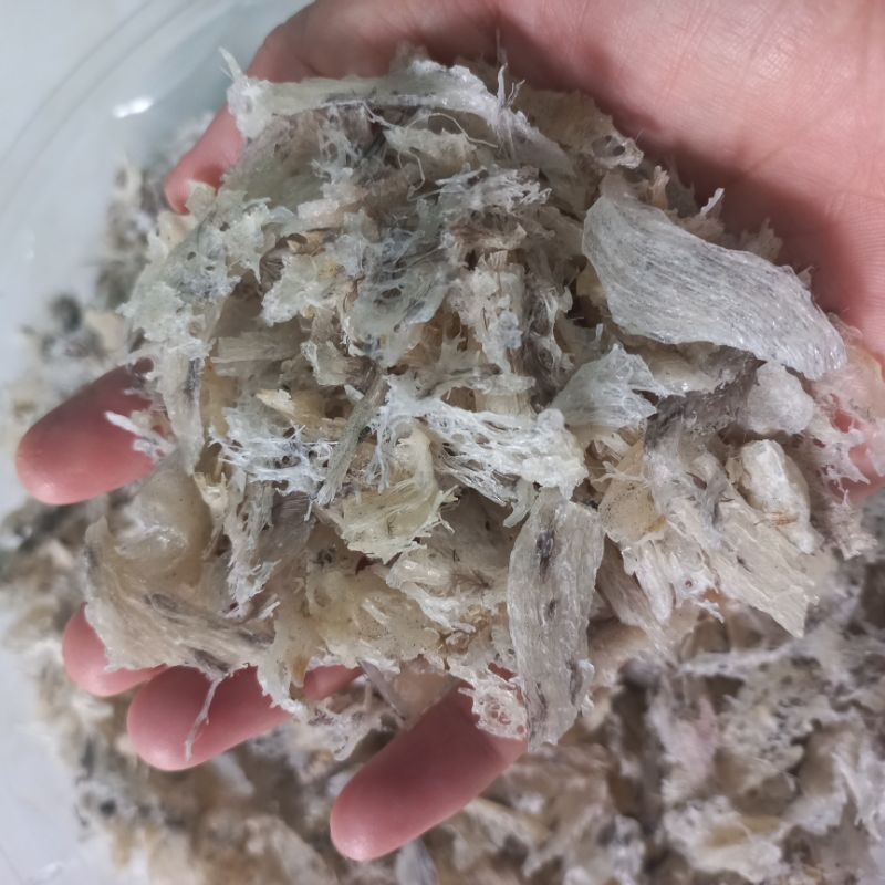 50g yến vụn thô loại to nguyên chất