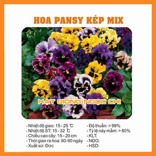 Hạt Giống Hoa Pansy Kép Mix - 50 Hạt