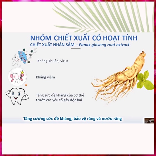 [KHÔNG CHỨA ĐỘC HẠI] Kem Đánh Răng Người Lớn Cao Cấp Strongz Teeth Tworld An Toàn Giúp Trắng Răng, Hôi Miệng, Viêm Lợi