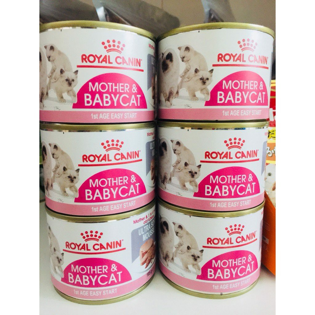 Pate Royal Canin Mother &amp; Babycat 195g dành cho mèo mang thai, mèo mẹ và mèo con tập ăn