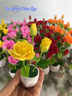 Combo 100 chậu gốm sứ mini