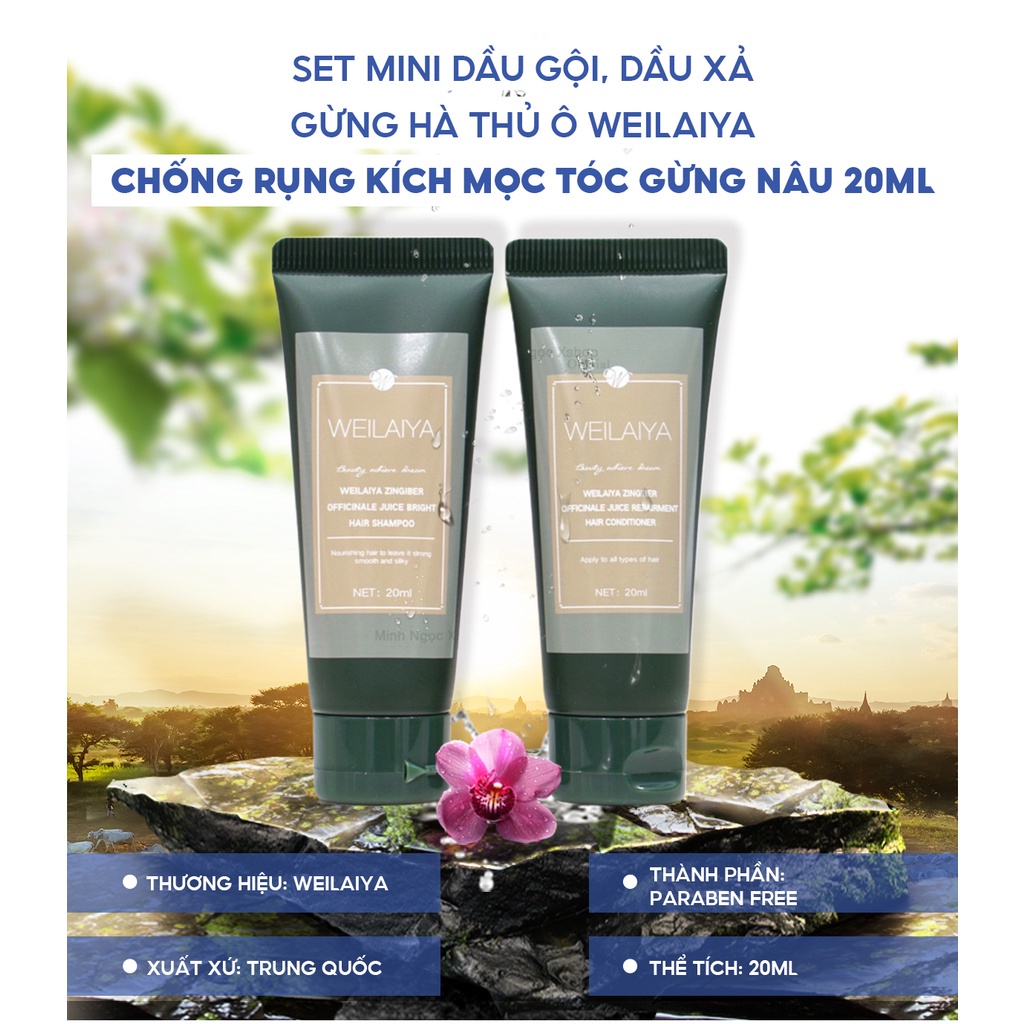 Bộ Dầu Gội Gừng Weilaiya Giảm Rụng Kích Mọc Tóc, Hỗ Trợ Giảm Gầu, Mini Size