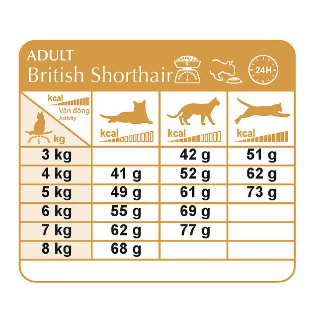Thức ăn cho mèo anh lông ngắn trưởng thành trên 12 tháng tuổi Royal Canin British Shorthair Adult 2kg sản xuất tại pháp