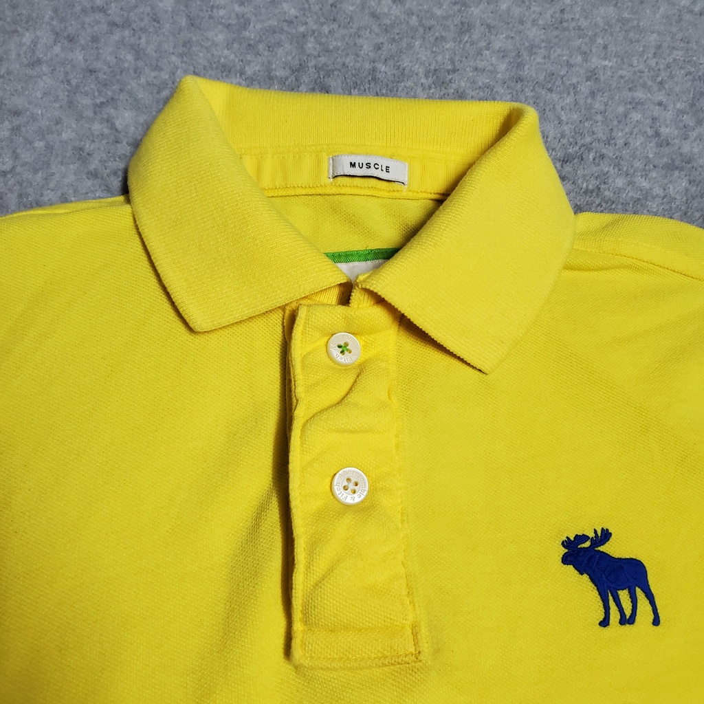 Áo thun polo Abercombie & Fitch Big Moose màu vàng B00FN55Z1Q