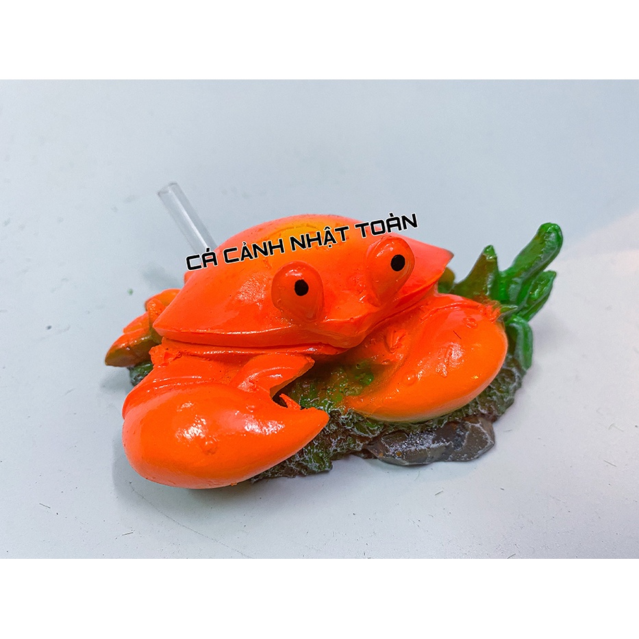 CUA THỔI OXY ĐÓNG MỞ TRANG TRÍ BỂ CÁ NON BỘ DÀI 10CM