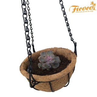 COMBO CHẬU TREO XƠ DỪA TRỒNG CÂY KHUNG SẮT