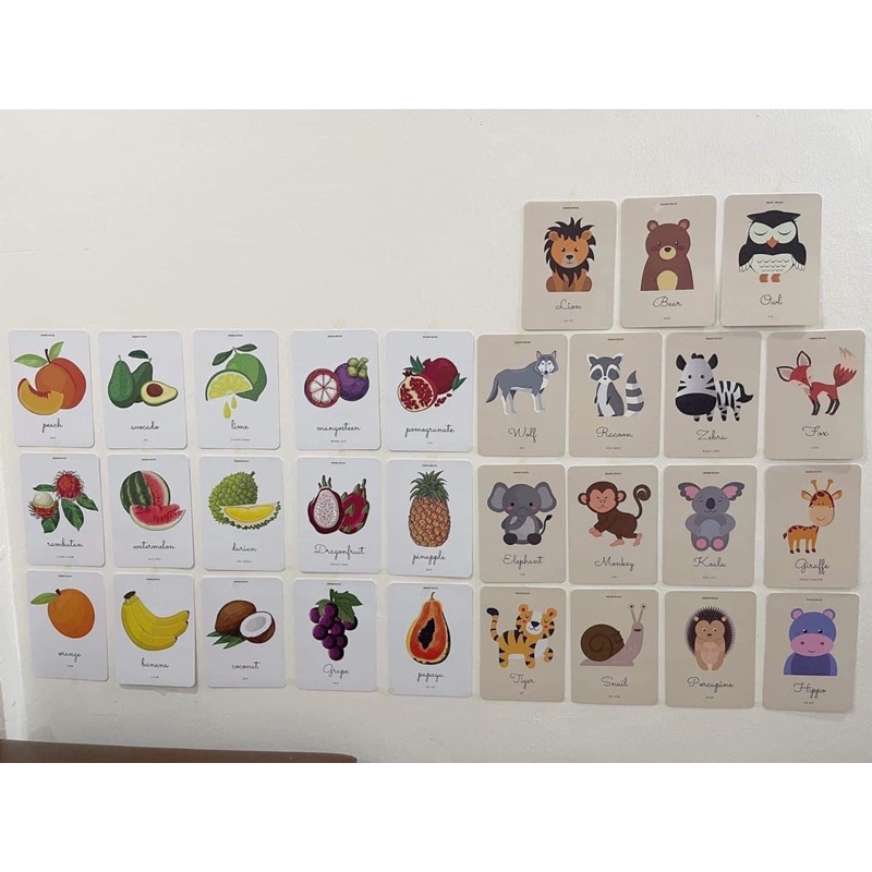 ❤Flash card ❤Thẻ học thông minh cho bé phong cách Hàn Quốc