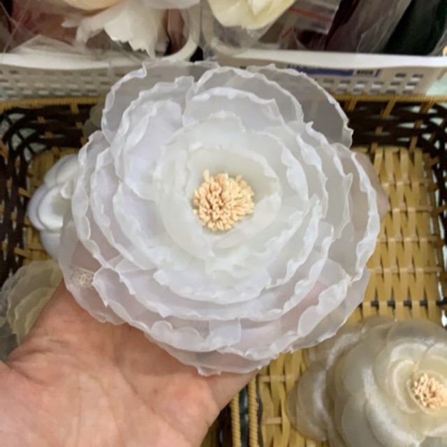 Hoa cài áo(pham thi thu thuy)