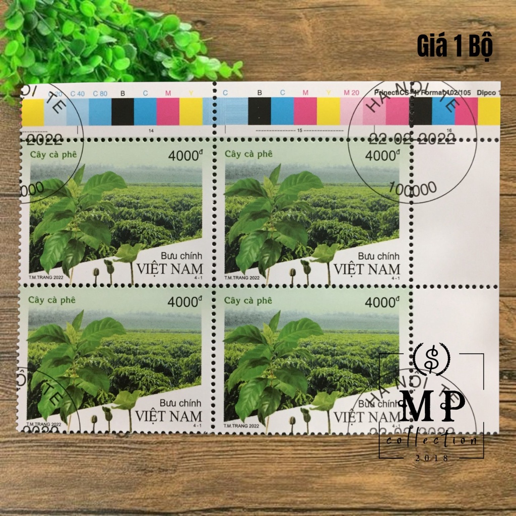 Bộ tem hoa hạt quả và cây cà phê 4 tem.