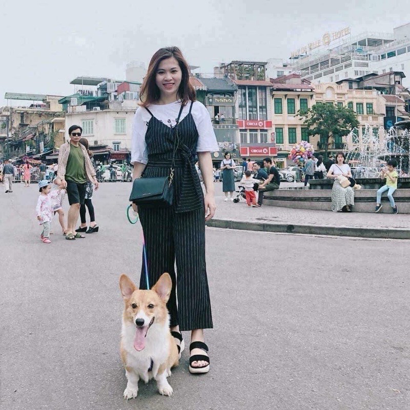 XĂNG ĐAN QUAI CHUN SIÊU NHẸ ĐẾ XỐP