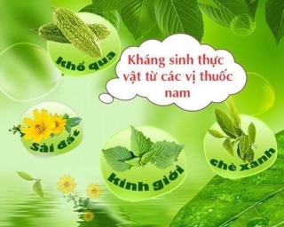 Nước tắm thảo dược Lactodiall